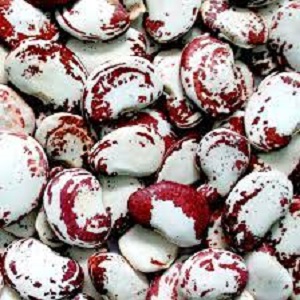 grarrofo Garrofón 400 gr - Imagen 1